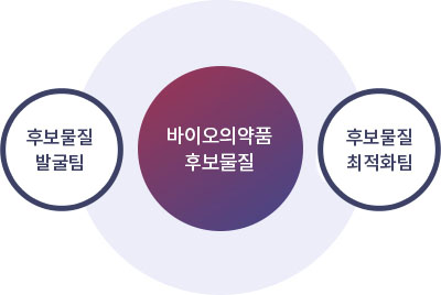 바이오의약품 후보물질 - 후보물질발굴팀, 후보물질최적화팀